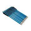 812237030220 Steambow AR Series Aluminum target arrows Set of 10 pcs